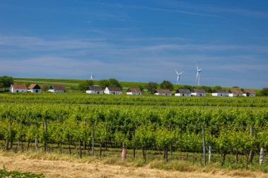 Poysdorf, Aşağı Avusturya yakınlarındaki Ketzelsdorf 'ta geleneksel şarap mahzeni caddesi (kellergasse)