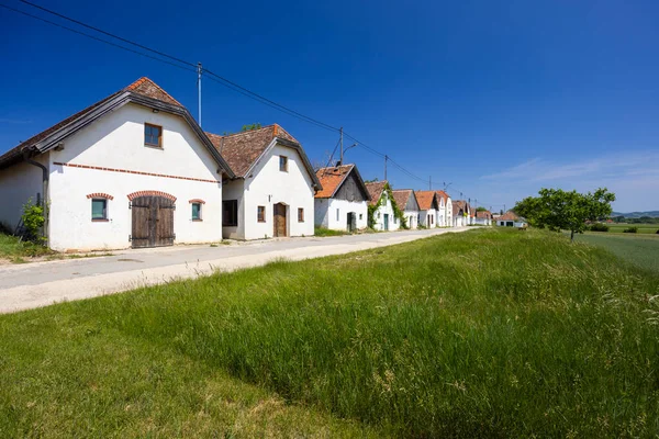 Traditionele Wijnkelderstraat Diepolz Bij Mailberg Neder Oostenrijk Oostenrijk — Stockfoto