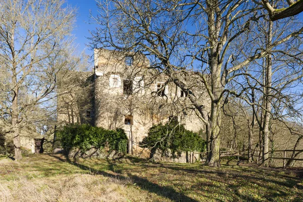 Ruines Château Novy Hradek Près Loukov Région Znojmo République Tchèque — Photo