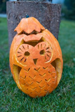 Cadılar Bayramı dekorasyonunun durgun hayatı