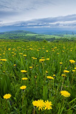 Beyaz Karpatlar 'da bahar manzarası, Çek Cumhuriyeti