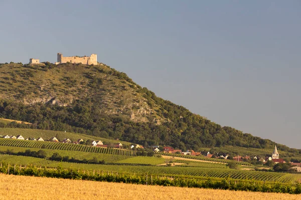 Vignobles Sous Palava Moravie Sud République Tchèque — Photo