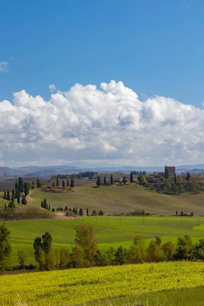Typical Tuscan Landscape Siena Tuscany Italy — Stock Photo, Image