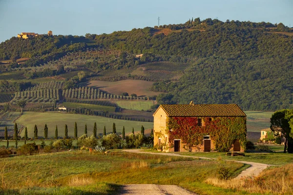 Утренний Тосканский Пейзаж Валь Орча Тоскана Италия — стоковое фото