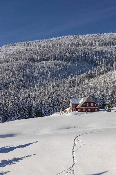 Vinterlandskap Runt Horni Mala Upa Stora Bergen Krkonose Norra Böhmen — Stockfoto