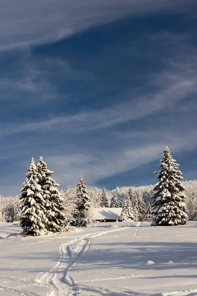 捷克共和国北部波希米亚巨山Mala Upa周围的冬季景观 — 图库照片