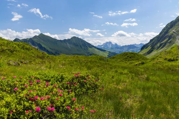 Typical Alpine Landscape Early Summer Damuls Vorarlberg Austria — Stock Photo, Image