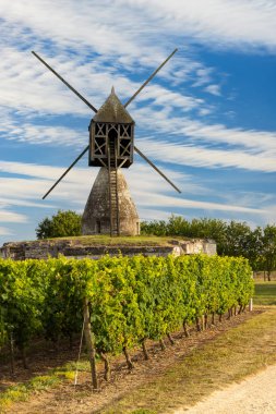 Montsoreau yakınlarındaki La Tranchee ve Vineyard yel değirmeni, Pays de la Loire, Fransa