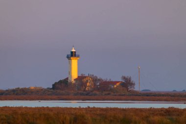 Deniz feneri Phare de la Gacholle, Parc Naturel bölgesel de Camargue, Provence, Fransa