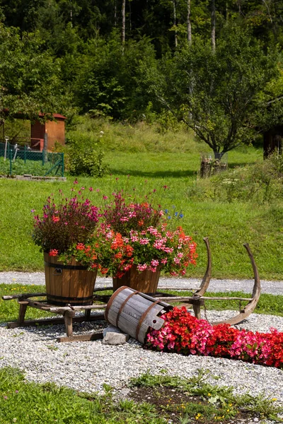 Decoración Floral Campo Alpes Suiza — Foto de Stock