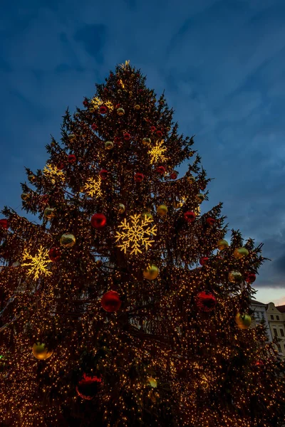 Albero Natale Piazza Della Città Vecchia Praga Repubblica Ceca — Foto Stock