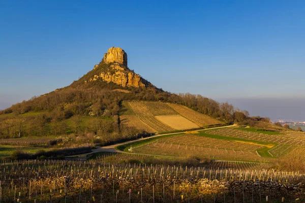 Rock Solutre Med Vingårdar Bourgogne Solutre Pouilly Frankrike — Stockfoto