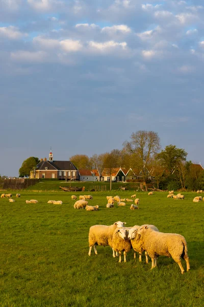 Former Island Schokland Unesco World Heritage Site Netherlands — Stock Photo, Image