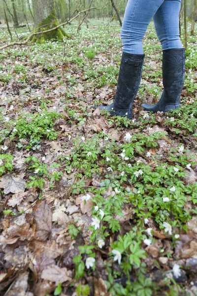 Detalhe Mulher Usando Botas Borracha Floresta Primavera — Fotografia de Stock