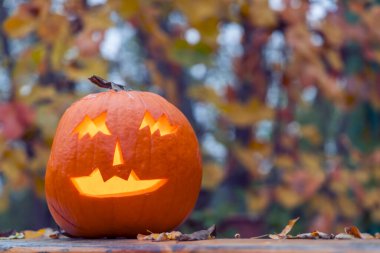 Cadılar bayramı balkabağı, sonbahar durgun hayat