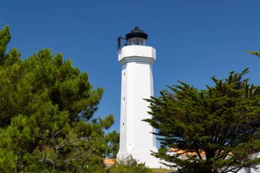 Phare du Grouin du Cou deniz feneri, Pays de la Loire, Fransa