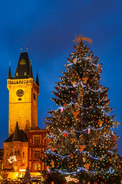 チェコ共和国プラハ旧市街広場のクリスマスツリー — ストック写真