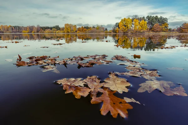 Estanque Otoño Cerca Trebon Bohemia Del Sur República Checa —  Fotos de Stock