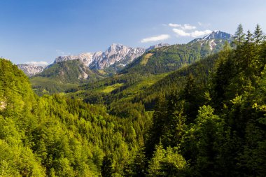 Avusturya 'daki Ulusal Park Kalkalpen
