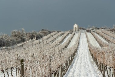 Hnanice yakınlarındaki Calvary, Znojmo bölgesi, Güney Moravya, Çek Cumhuriyeti