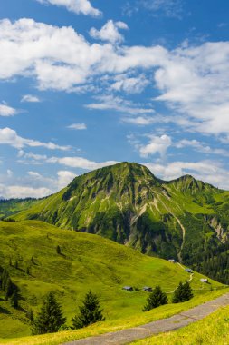 Yaz başında tipik dağlık arazi Damuls, Vorarlberg, Avusturya yakınlarında.