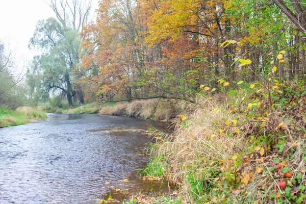 Río Dyje Moravia Del Sur República Checa — Foto de Stock