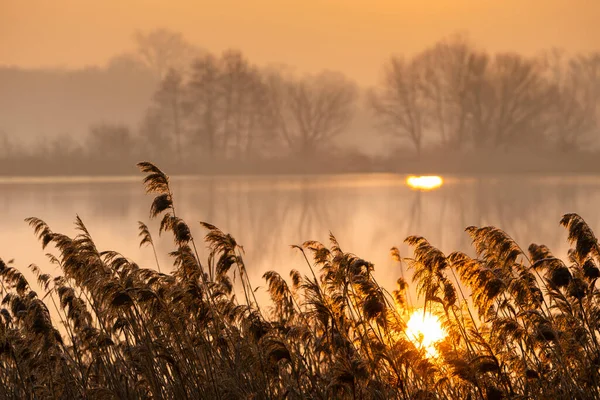 Sunrice Jaroslavice Pond Czech Republic — Stock Photo, Image