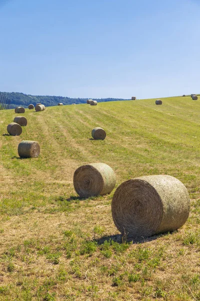 bales of  hay on field, Czech Republic
