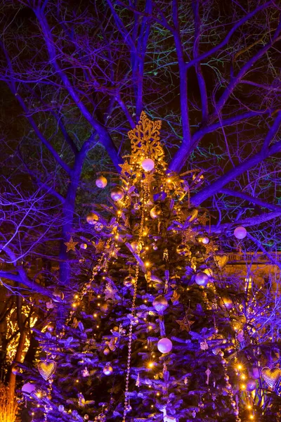 Pomul Crăciun Din Viena Austria — Fotografie, imagine de stoc