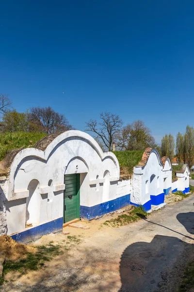 Group Typical Outdoor Wine Cellars Plze Petrov Southern Moravia Czech — Stock Photo, Image