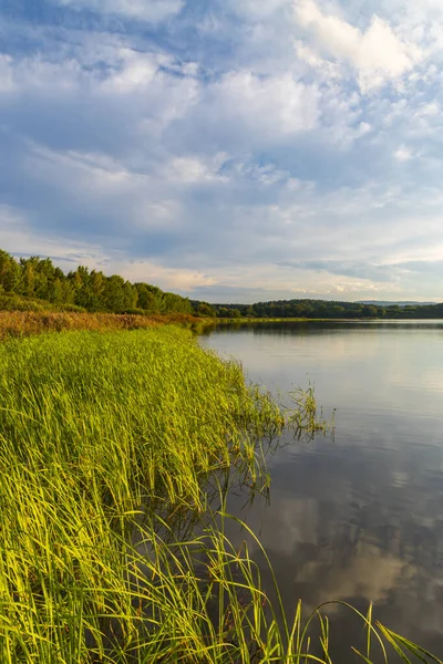 Nature Reserve Rezabinec Southern Bohemia Czech Republic — Stock Photo, Image