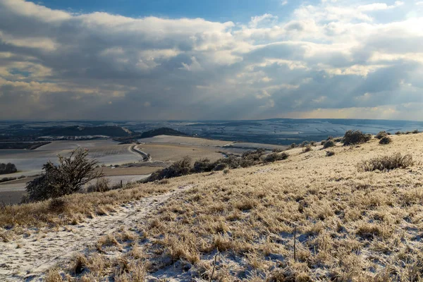 Palava Paesaggio Invernale Moravia Meridionale Repubblica Ceca — Foto Stock
