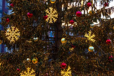 Prag'da Noel ağacı, Çek Cumhuriyeti
