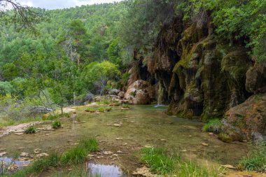 Cuenca, Castilla La Mancha, İspanya 'daki Cuervo Nehri (Nacimiento del Rio Cuervo) pınarı
