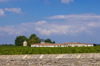 Chateau LaTour, Bordeaux, Aquitaine, Fransa yakınlarındaki tipik üzüm bağları