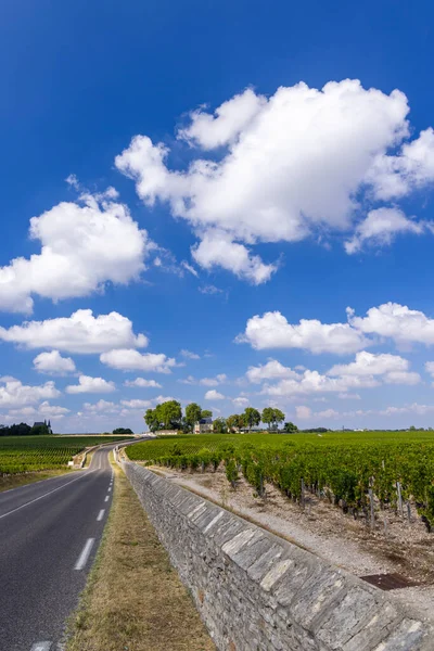 Typowe Winnice Pobliżu Chateau Latour Bordeaux Akwitania Francja — Zdjęcie stockowe