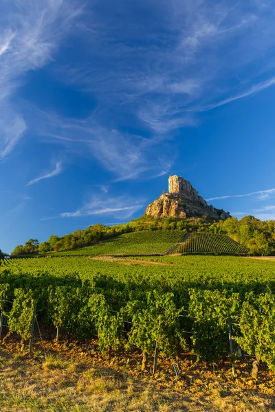 Rocha Solutre Com Vinhas Borgonha Solutre Pouilly França — Fotografia de Stock