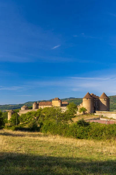 Замок Chateau Berze Chatel Saone Loire Departement Бургунди Франция — стоковое фото