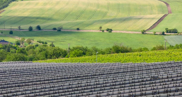 Spring Vineyard Velke Pavlovice Solar Panels Southern Moravia Czech Republic — Stock Photo, Image