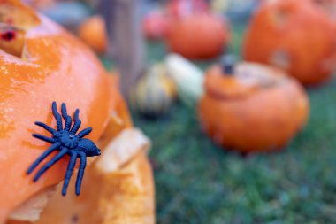 Cadılar Bayramı dekorasyonunun durgun hayatı