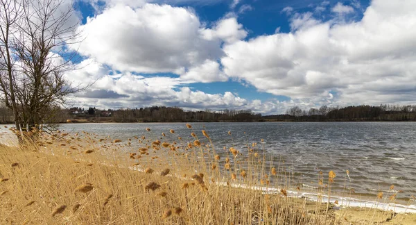 Principios Primavera Paisaje Parque Nacional Sumava República Checa — Foto de Stock