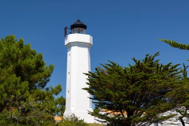 Phare du Grouin du Cou deniz feneri, Pays de la Loire, Fransa