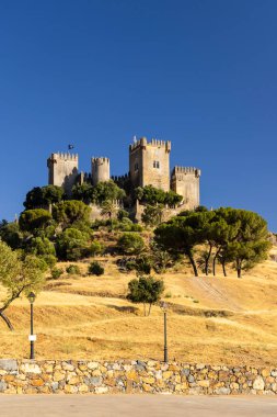 Endülüs 'teki Almodovar del Rio kalesi, İspanya