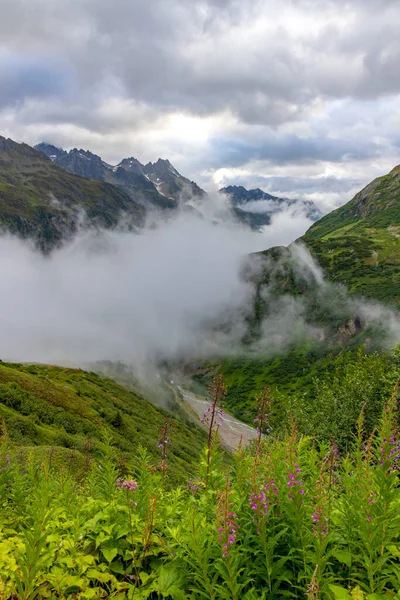 スイス ベルン州アーナー アルプス州サゼンシュトラーセ近郊のスイス アルプスの典型的な高山風景 — ストック写真