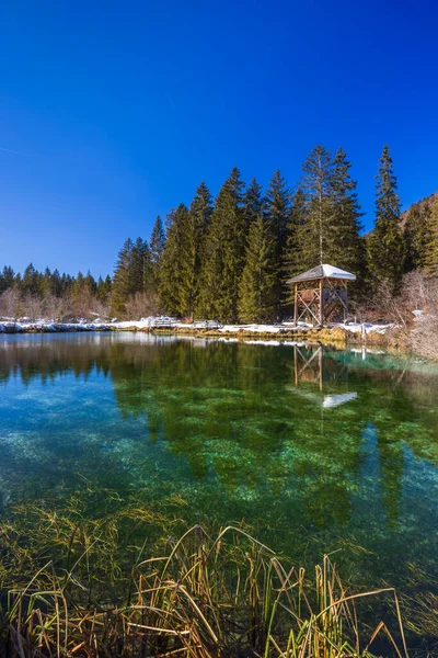 斯洛文尼亚Zelenci冬季景观 — 图库照片