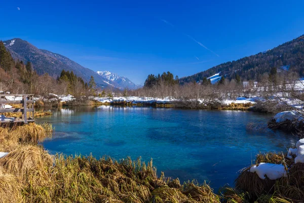 スロベニアのゼレンキの冬の風景 — ストック写真