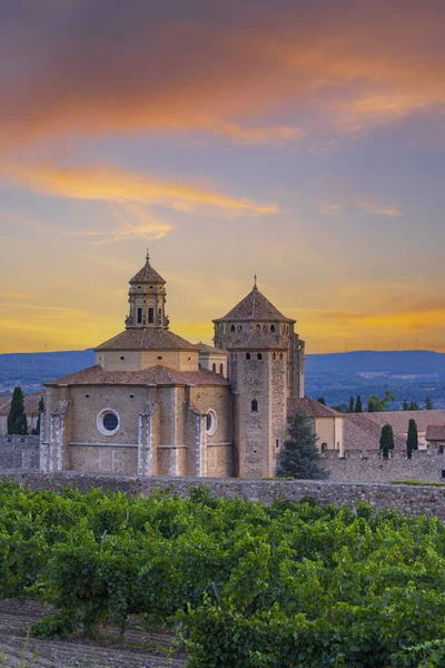 Santa Maria Poblet Kraliyet Manastırı Manastır Katalonya Spanya — Stok fotoğraf