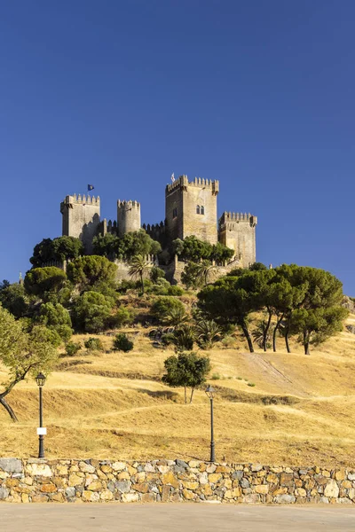 Endülüs 'teki Almodovar del Rio kalesi, İspanya
