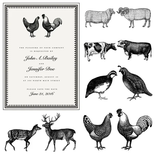 Vector macho y hembra animal vintage boda invitar conjunto — Vector de stock