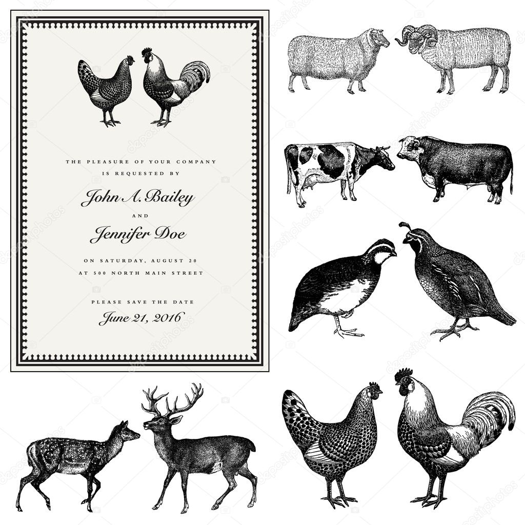 Vector Male and Female Animal Vintage Wedding Invite Set